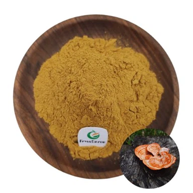 Antrodia Camphorata Extraktpulver