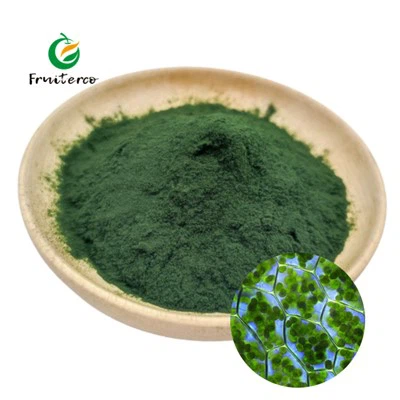 Grünes Chlorophyllpulver