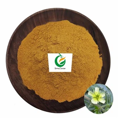 Tribulus Terrestris Extraktpulver